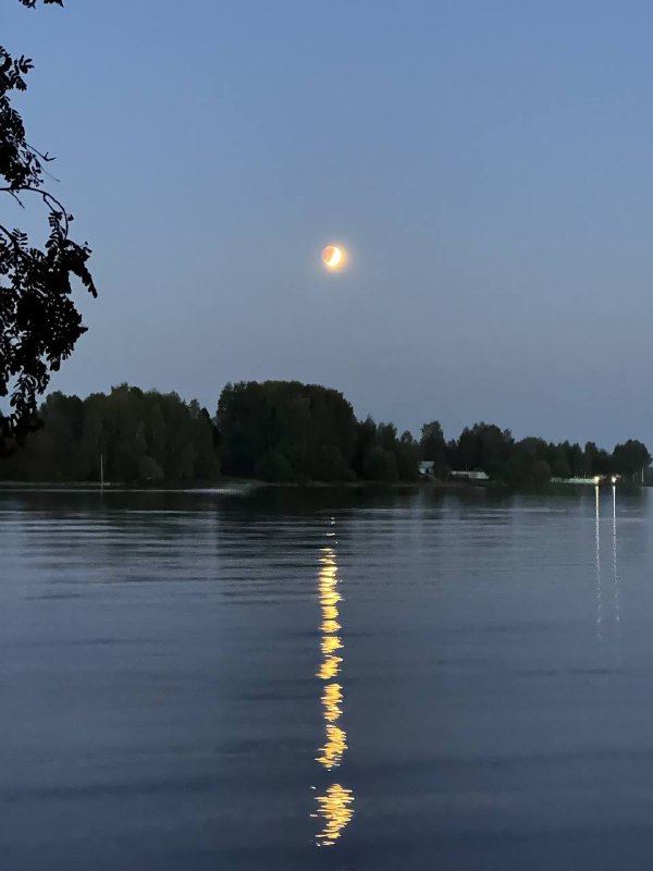 Во многих мероприятиях я участвовал. Разного уровня, разной масштабности, разного уровня орга...