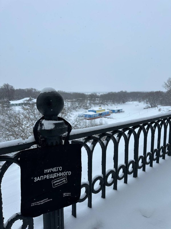 Рязань. Про грибы и сахар